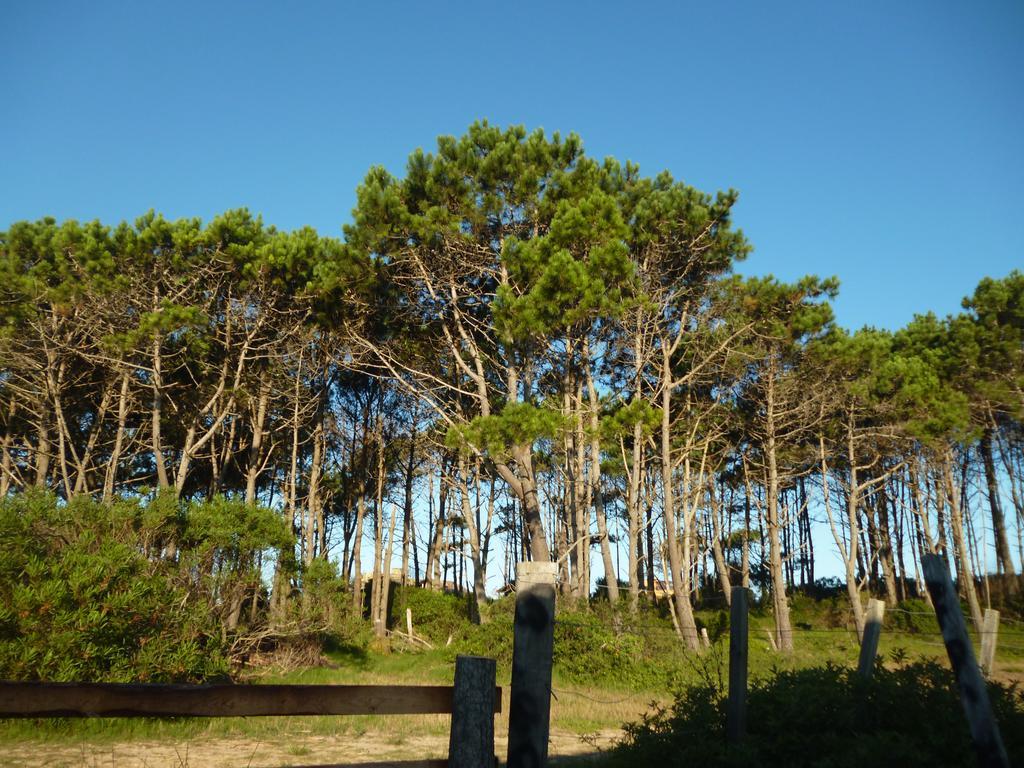 Cabanas Pietragalla Punta Del Diablo Exteriör bild